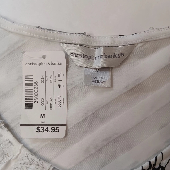 Christopher & Banks top ruffles silver Metallic Boho Sleeveless sz M. - Picture 3 of 14